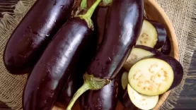 _126868198_bowl-of-aubergines-5370e43.jpg